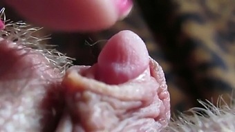 Intense Close-Up Of My Pulsating And Enlarged Clitoris